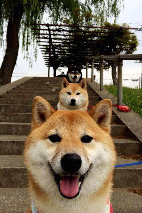 AYX SPORTS-史上最具争议的欧冠“判罚瞬间”，欧冠十大经典比赛