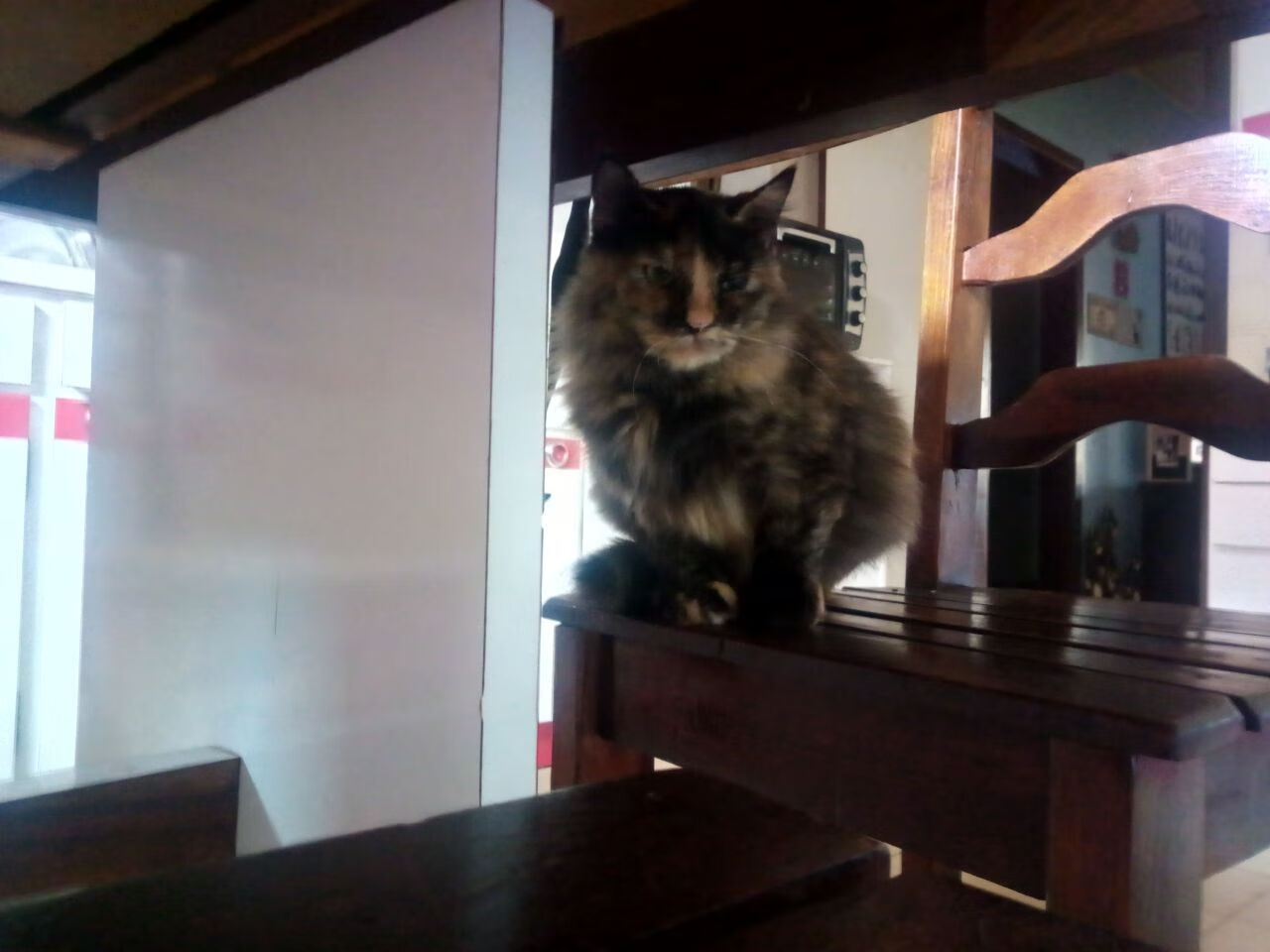 AYX GAMING-争分夺秒！比赛节奏紧张，胜利前途未卜，比赛争夺的十分猛烈病句