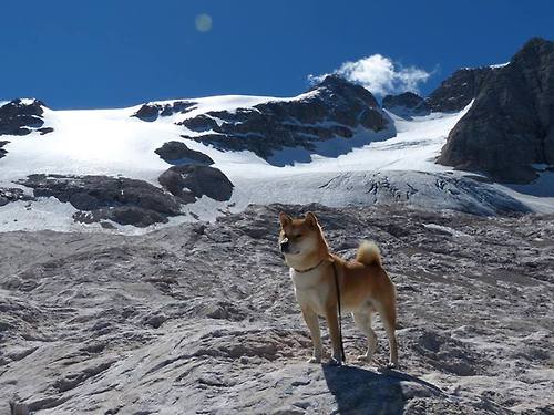 爱游戏综合娱乐-卢比奥联手猛攻