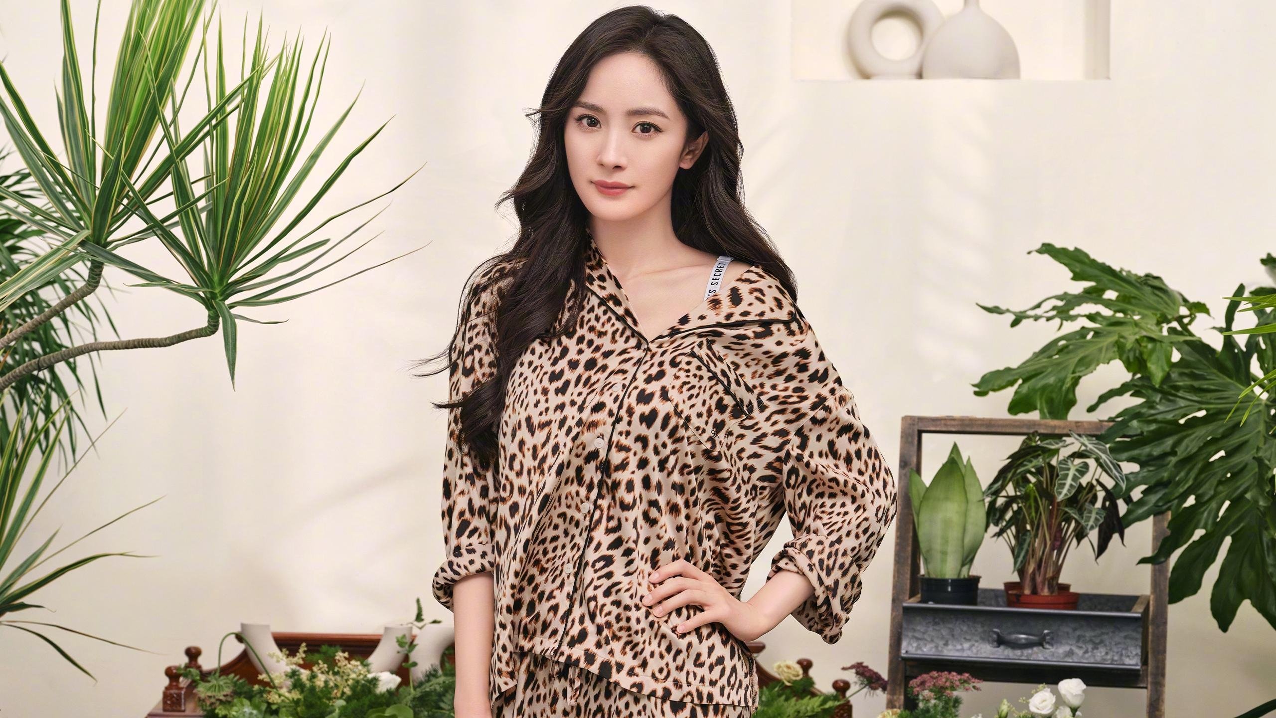 爱游戏娱乐-广州龙狮球队进攻体系完善，广州龙狮队新主场