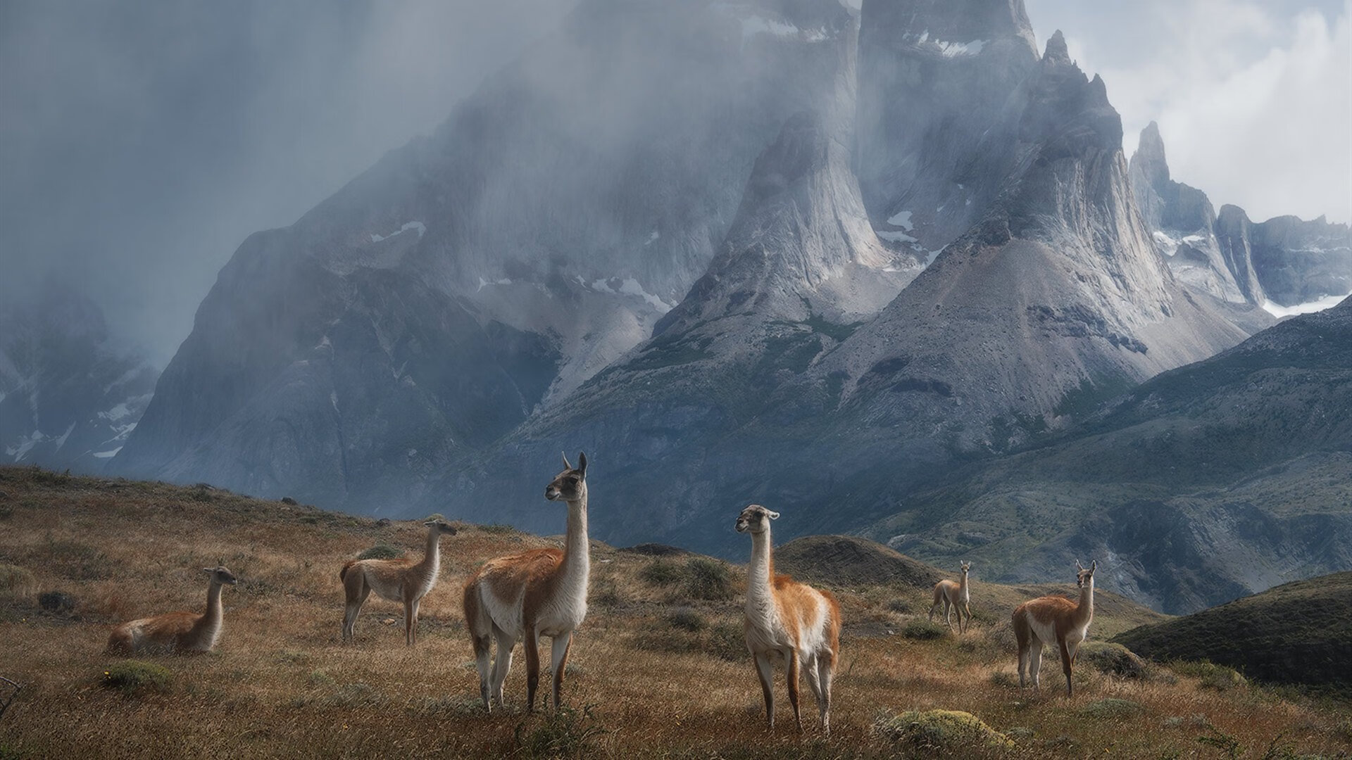 爱游戏官网-拜仁慕尼黑主场4-1大胜斯图加特，进攻火力全开，拜仁慕尼黑433