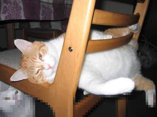 AYX体育官网-日本男足敢拼敢赢，永不言败！，日本男足战胜过的强队