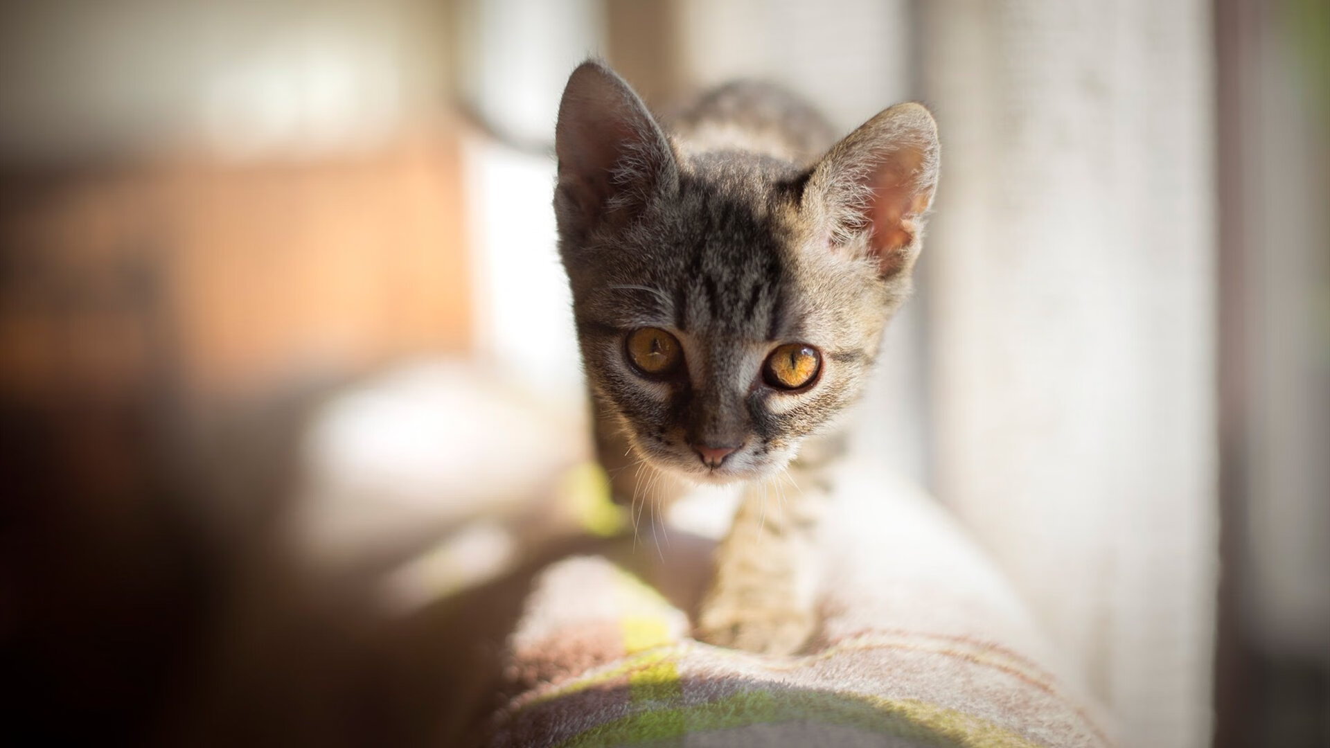 爱游戏电竞官网-欧洲足球巅峰对决，球场上的胜负难以预料，欧洲足球比赛排名