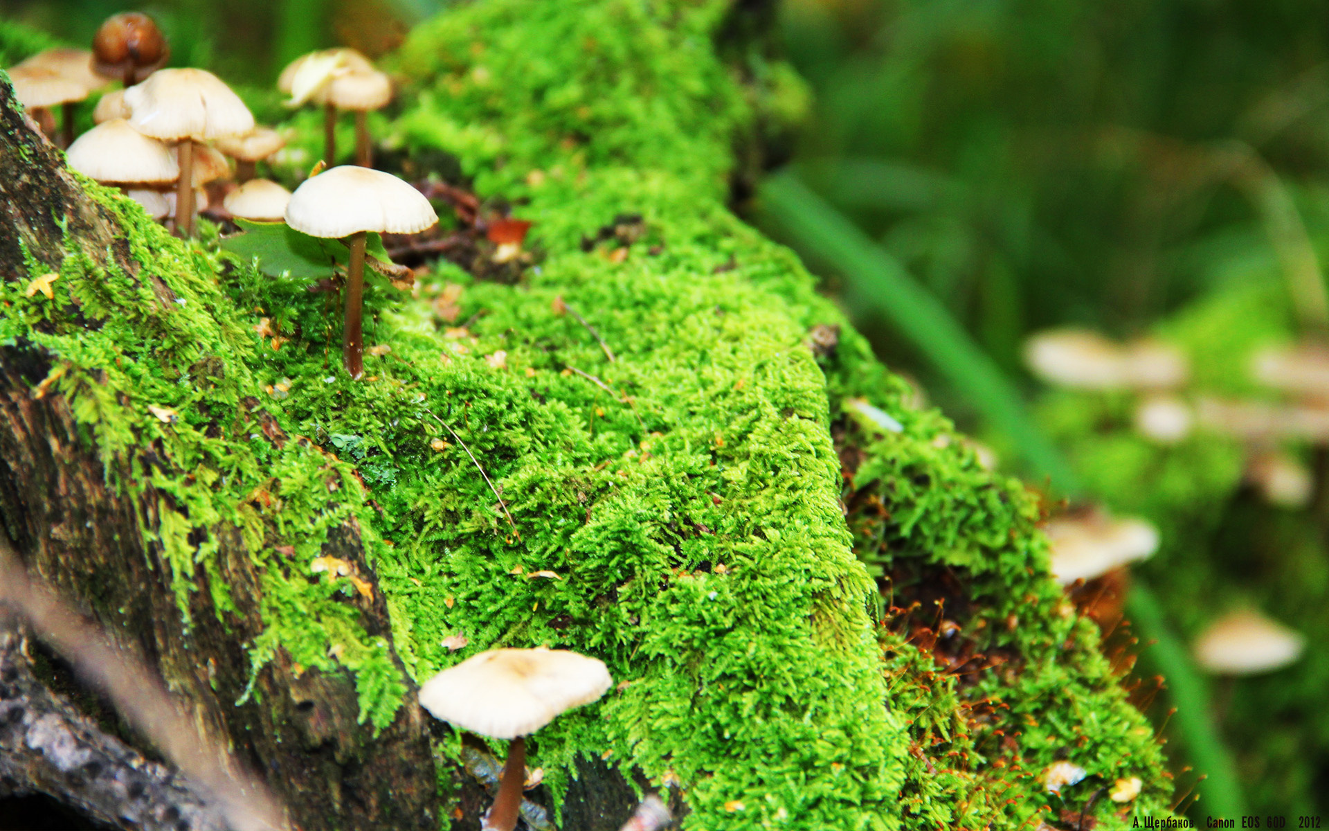 爱游戏体育（AYX）官方APP下载-王者荣耀国际赛事备受期待，王者荣耀国际版国际锦标赛时间