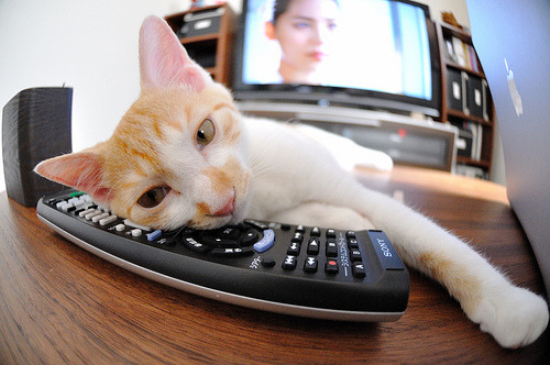 爱游戏体育平台-球队备战火爆进行，女足比赛如履薄冰，女足比赛现场