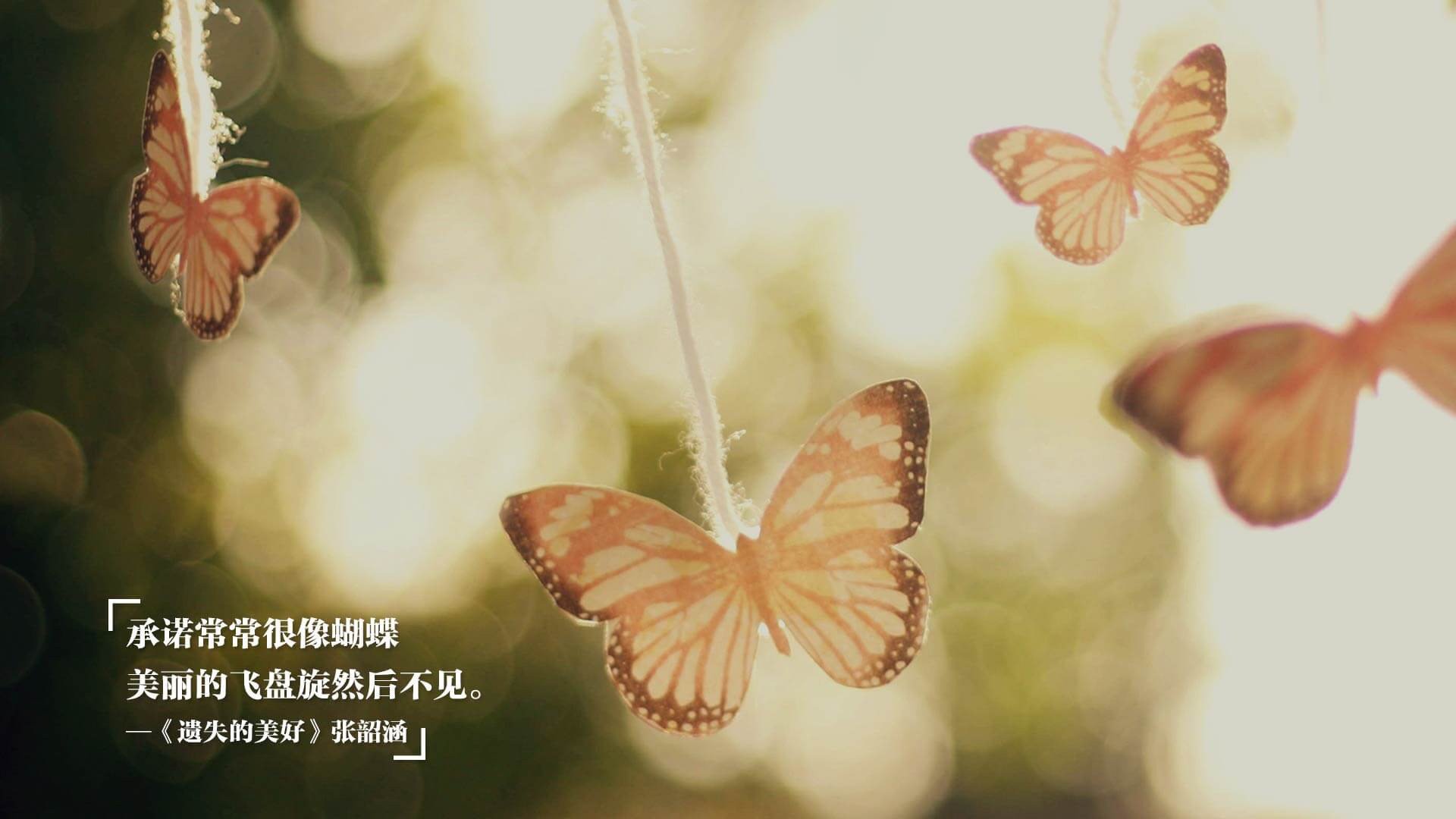 爱游戏下载-葡萄牙体育球员伤病恢复情况通报，葡萄牙队员