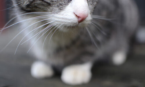 爱游戏app下载-防线宽度调整是否影响边锋突破路线，防线的搭配