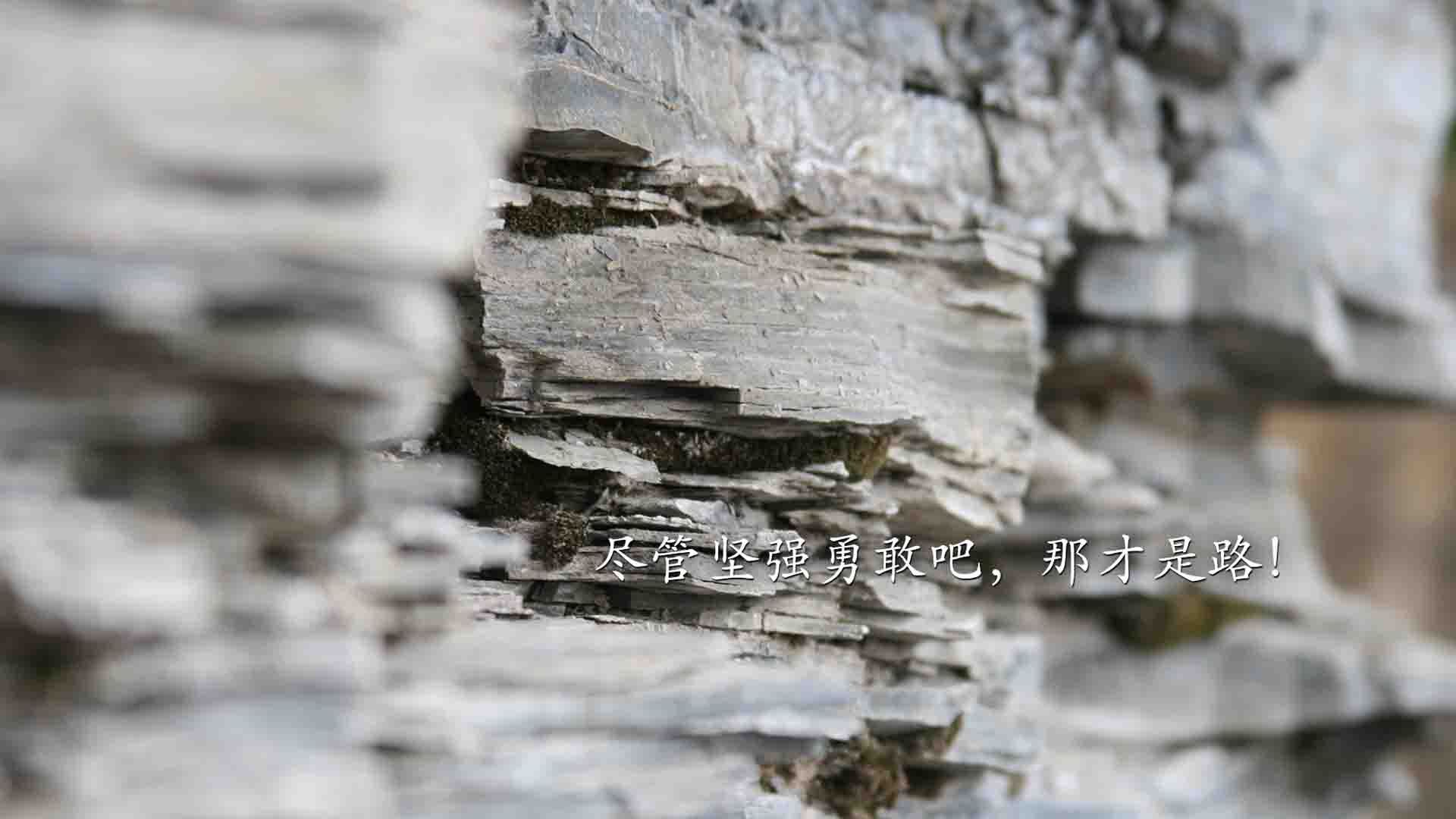 世界青少年冰雪运动会在哈尔滨精彩纷呈，青少年冰雪运动的宣传标语