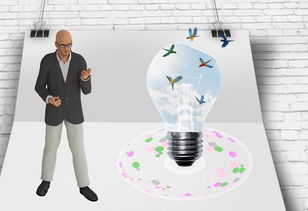 爱游戏体育app-中国篮球职业联赛俱乐部财务风险管理及控制，篮球俱乐部的风险与对策