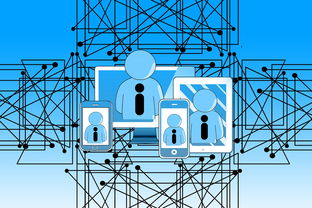 爱游戏在线登录入口-中国青少年篮球发展政策实施与推广策略，青少年篮球发展现状及对策研究