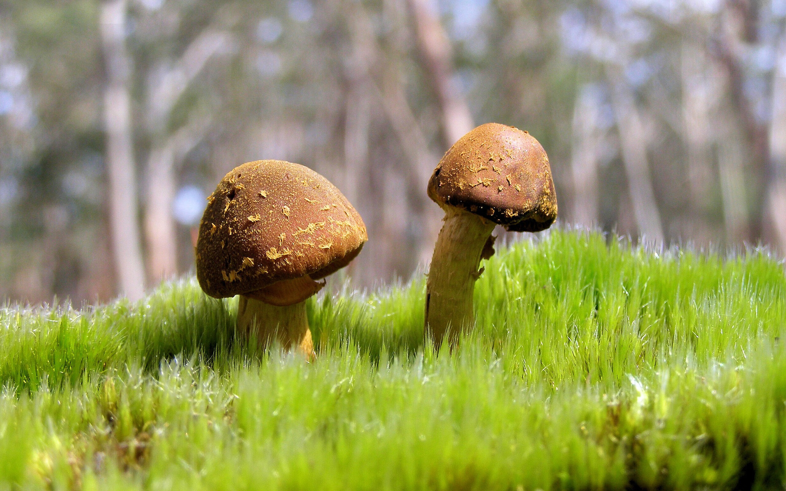 爱游戏中国官方网站平台-体育产业国际交流合作，国际体育与运动健康展