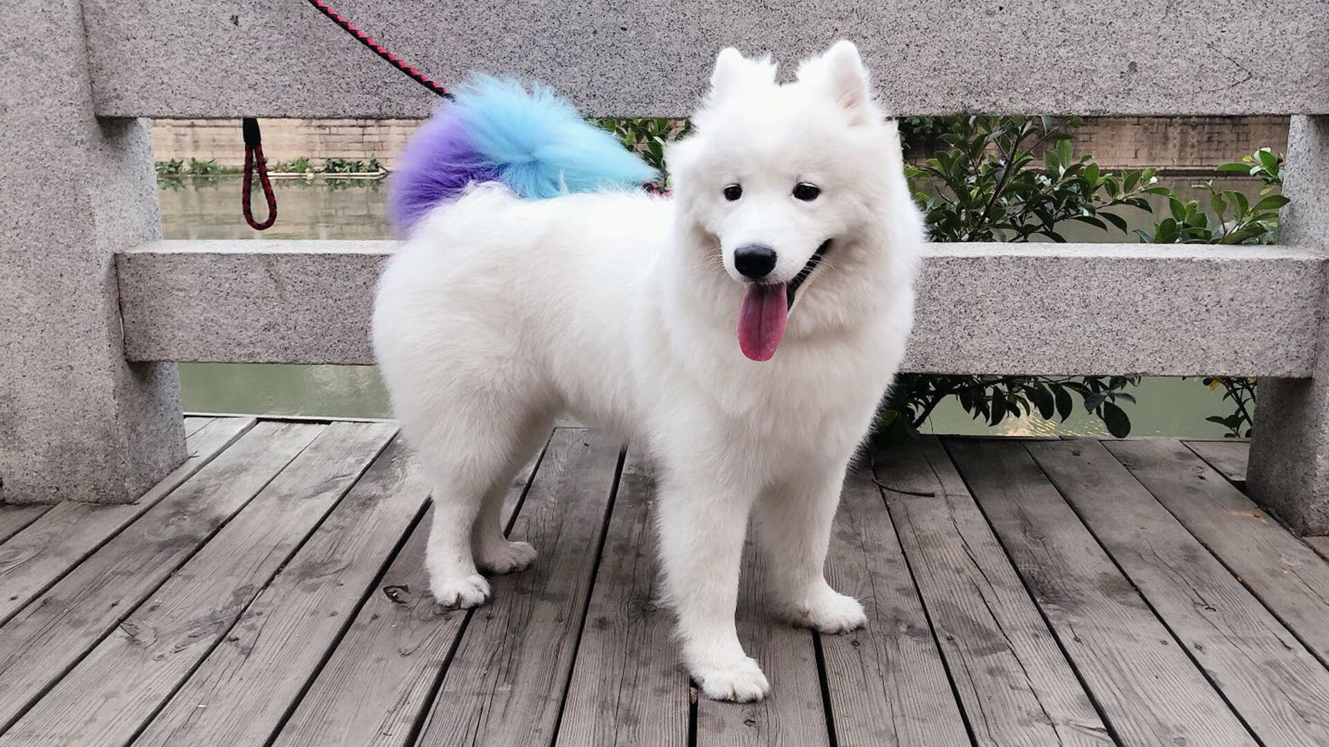 国家级体育科研基地建设评估指标体系,国家体育产业基地管理办法(试行)