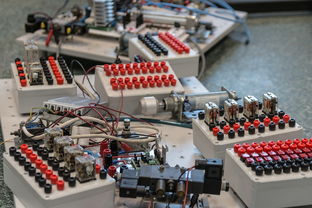 AYX体育-数字化转型：青训系统中的大数据应用，数字化转型_青训系统中的大数据应用有哪些