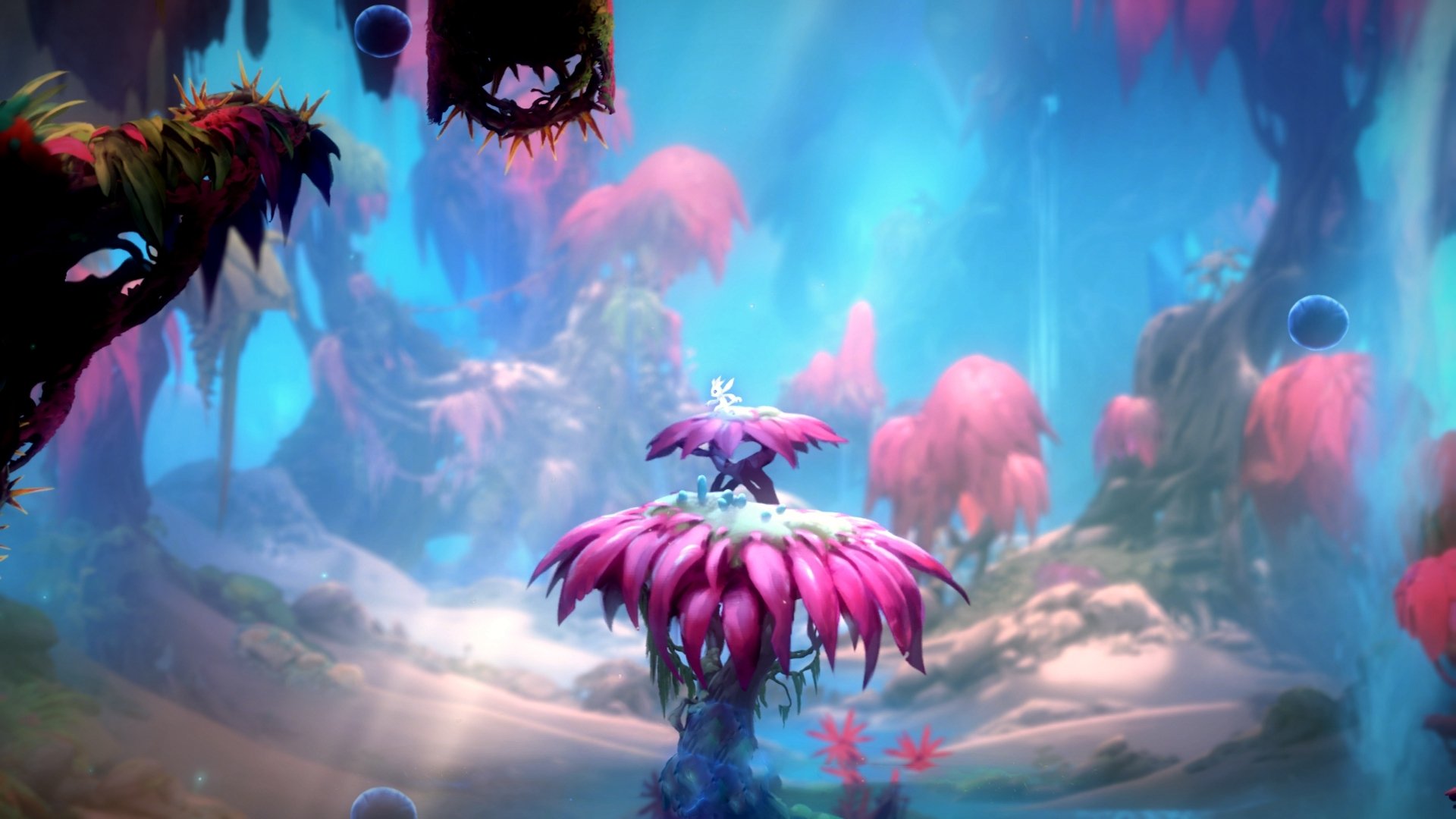 爱游戏综合娱乐-欧冠预热：夺冠热门球队全解析，欧冠热度