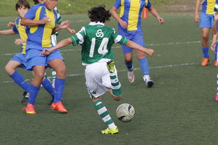 爱游戏娱乐-体育纪录片内容更加丰富，体育纪录片主题