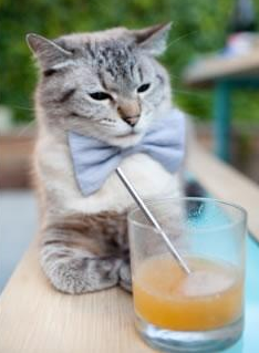 爱游戏官网-中长距离泳姿节奏稳定，耐力见长，适合长距离的泳姿