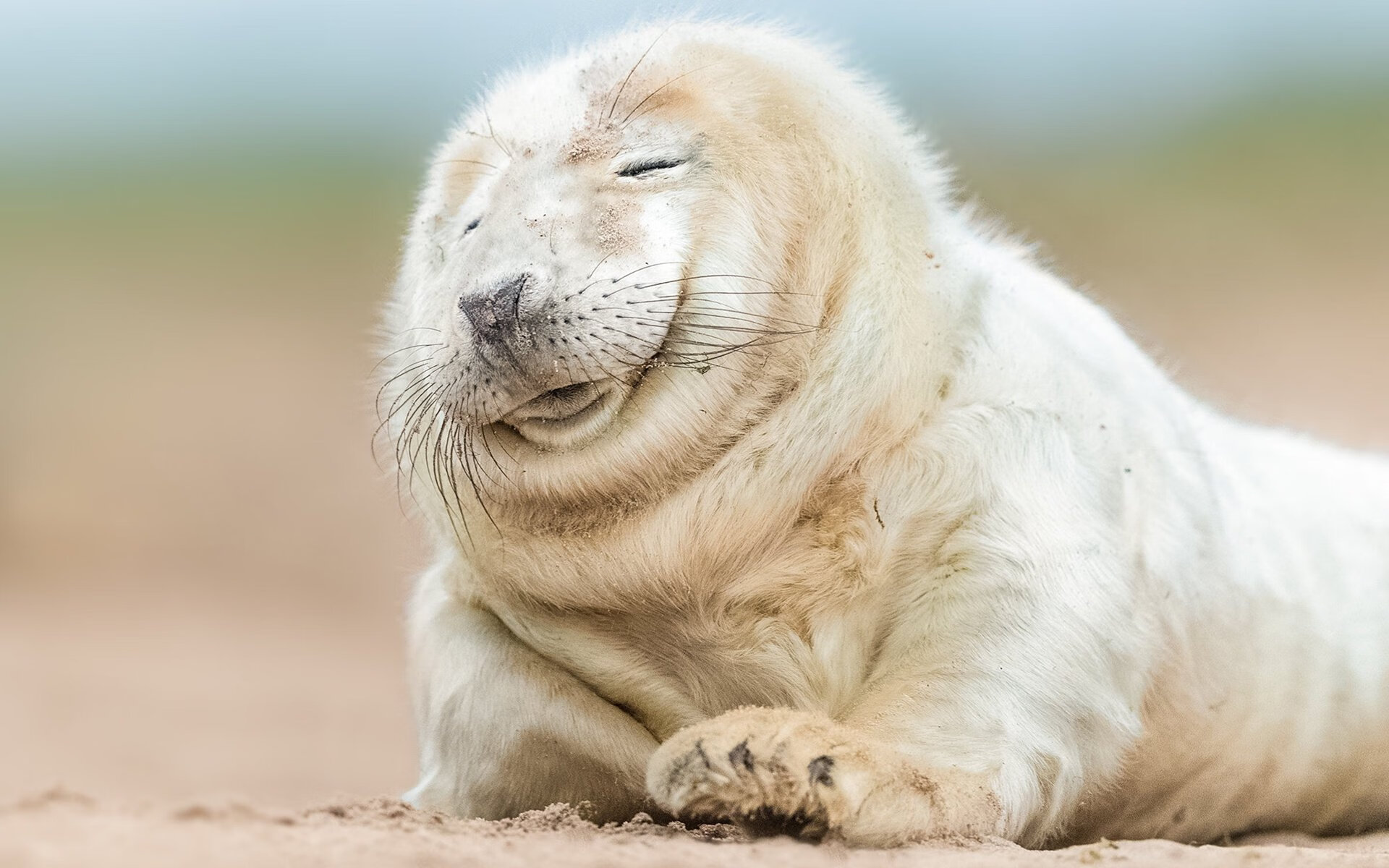 爱游戏官方-俱乐部财政年度报告显示收入创新高，俱乐部财政年度报告显示收入创新高什么意思