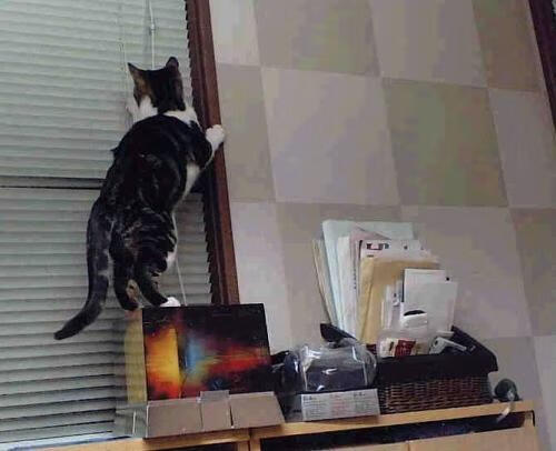 爱游戏在线娱乐官网-凯尔·查默斯赛后感谢团队支持，查尔斯凯恩