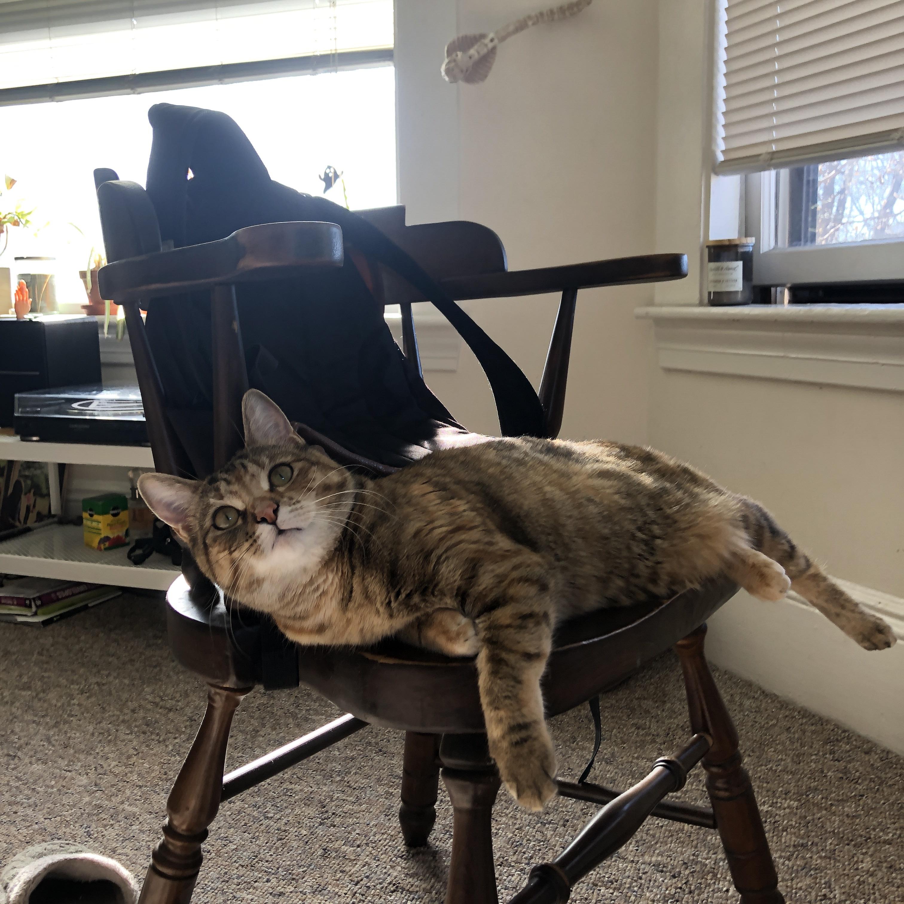 爱游戏登录入口-欧洲杯精彩不断：战术创新引领足球新时代！，欧洲杯借势