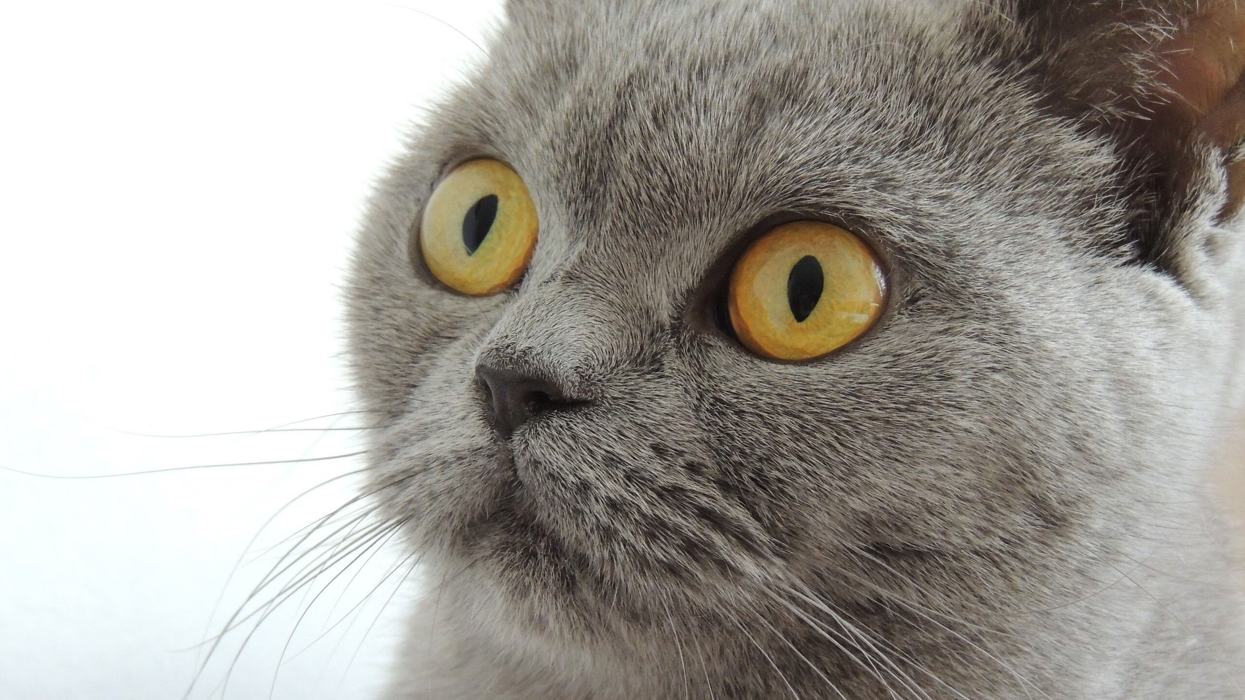 -球员达成生涯助攻纪录，传球艺术被重新定义，传球辅助