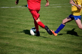 AIYOUXI.COM-男篮国家队专项安排外线射手训练增强火力输出，男篮外援